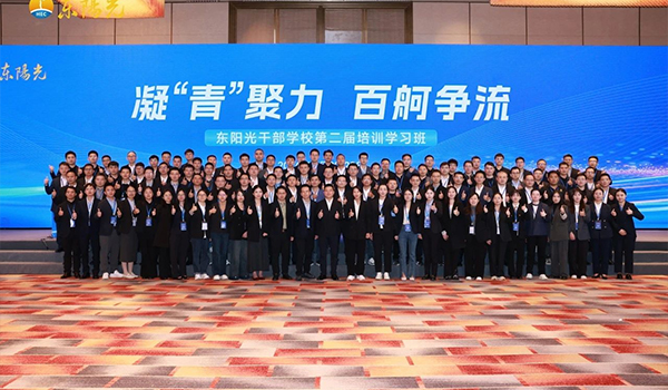 凝“青”聚力，百舸争流 | jrs低调看高清直播干部学校2024年第二届培训学习班圆满结束